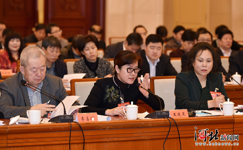 河北省政协十一届四次会议科技组、民建工商联组联组讨论