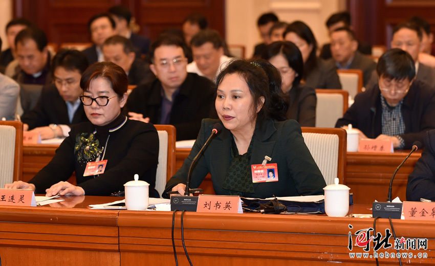 河北省政协十一届四次会议科技组、民建工商联组联组讨论