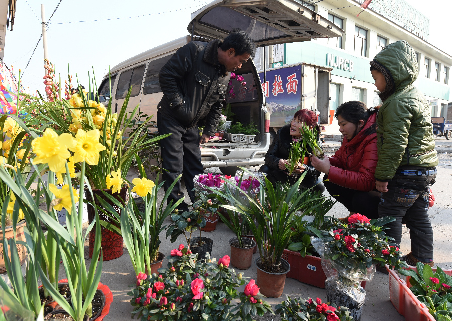 河北农村春节集市鲜花俏（组图）