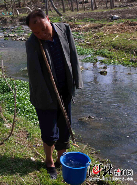 井陉残疾老哥俩：13年植万棵树 盼山上打井