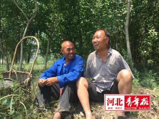 两位残疾老人植树14年感动世界