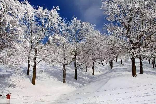 美如仙境！一大波草原天路雪景图刷爆朋友圈