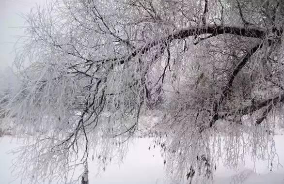 美如仙境！一大波草原天路雪景图刷爆朋友圈