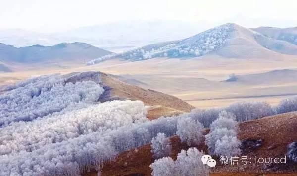 美如仙境！一大波草原天路雪景图刷爆朋友圈