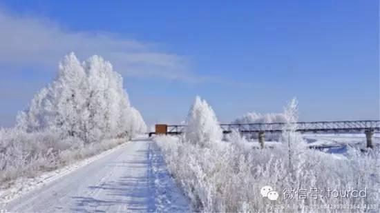 美如仙境！一大波草原天路雪景图刷爆朋友圈