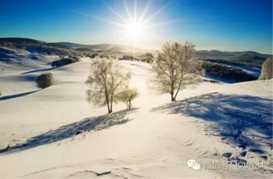 美如仙境！一大波草原天路雪景图刷爆朋友圈