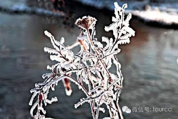 美如仙境！一大波草原天路雪景图刷爆朋友圈