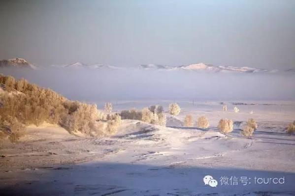 美如仙境！一大波草原天路雪景图刷爆朋友圈