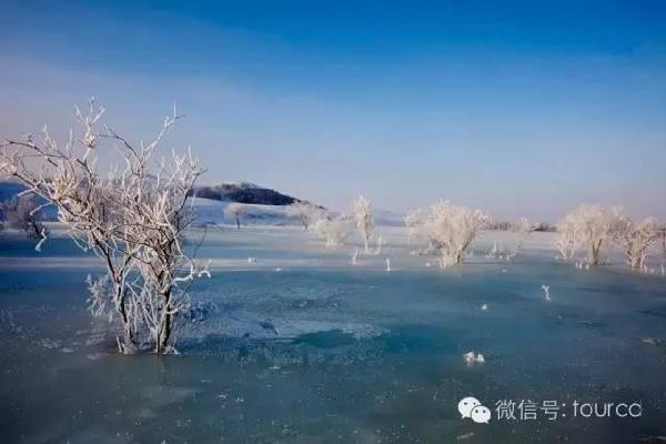 美如仙境！一大波草原天路雪景图刷爆朋友圈