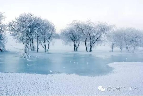 美如仙境！一大波草原天路雪景图刷爆朋友圈