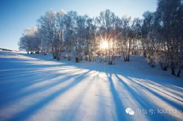 美如仙境！一大波草原天路雪景图刷爆朋友圈