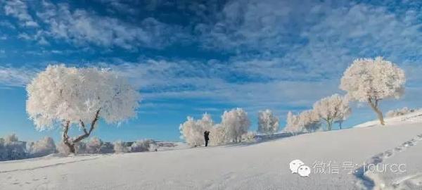 美如仙境！一大波草原天路雪景图刷爆朋友圈