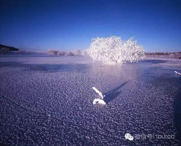 美如仙境！一大波草原天路雪景图刷爆朋友圈