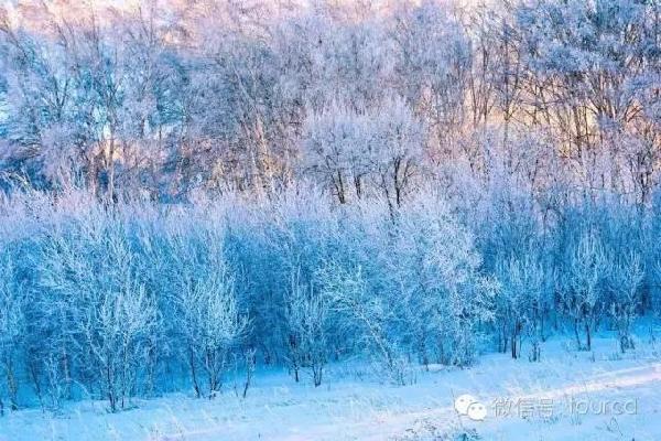 美如仙境！一大波草原天路雪景图刷爆朋友圈