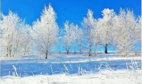 美如仙境！一大波草原天路雪景图刷爆朋友圈