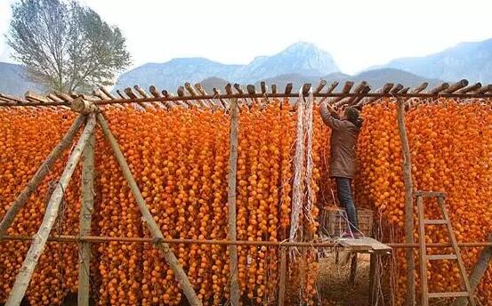 有一种最美叫晒秋：河北小山村照片刷爆朋友圈