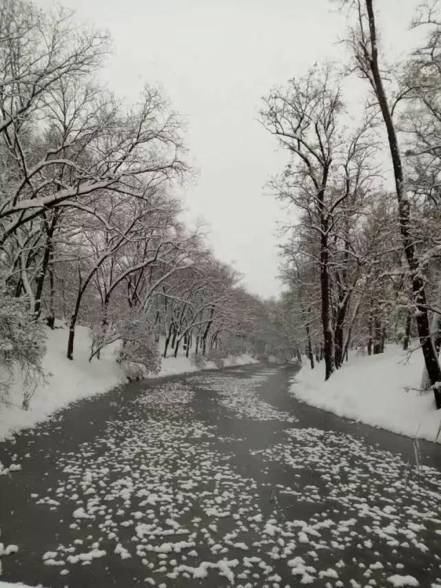 你那里下雪了吗？河北多地迎来今年入冬第一场雪