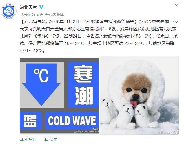 你那里下雪了吗？河北多地迎来今年入冬第一场雪