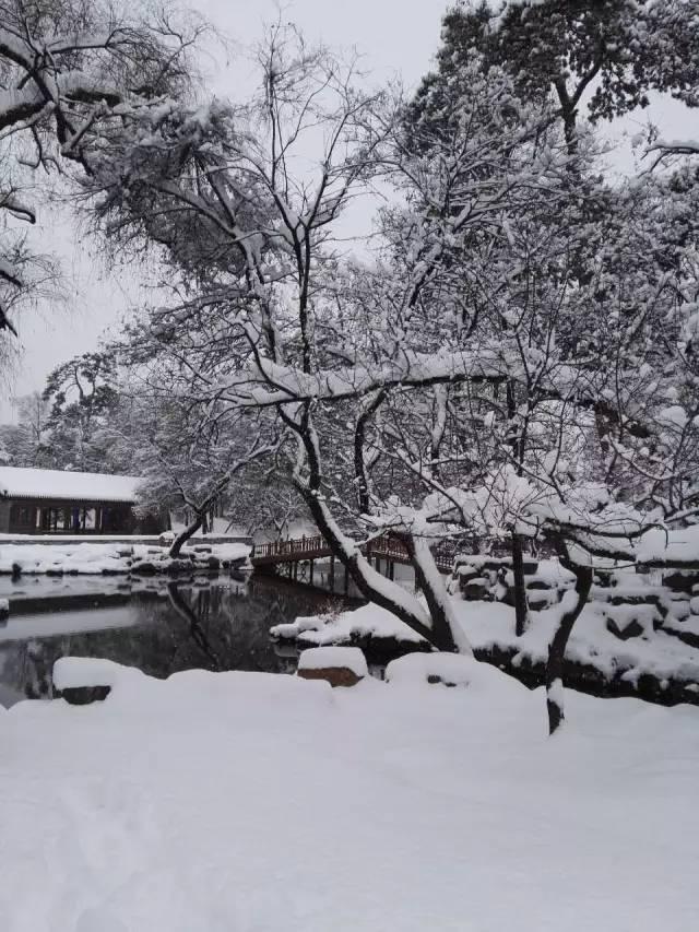 你那里下雪了吗？河北多地迎来今年入冬第一场雪