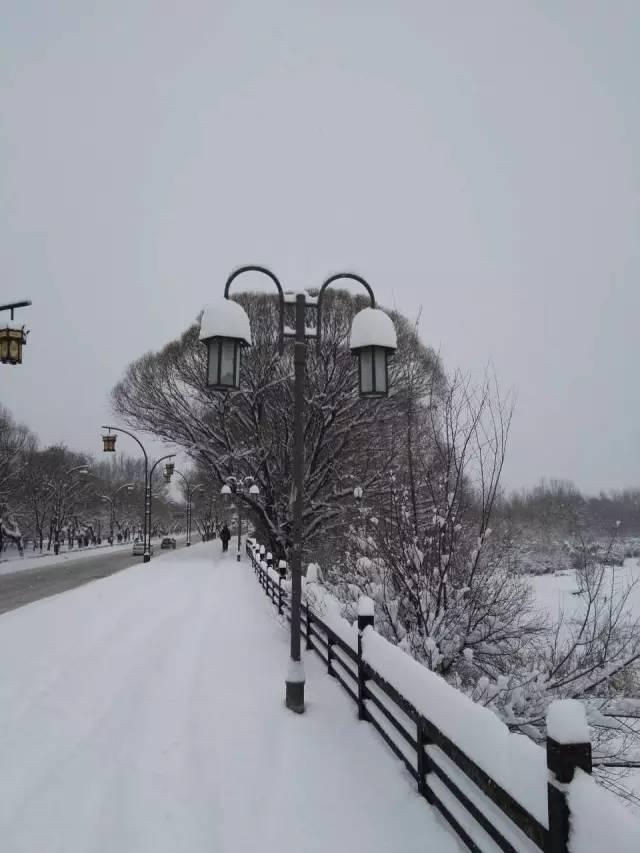 你那里下雪了吗？河北多地迎来今年入冬第一场雪