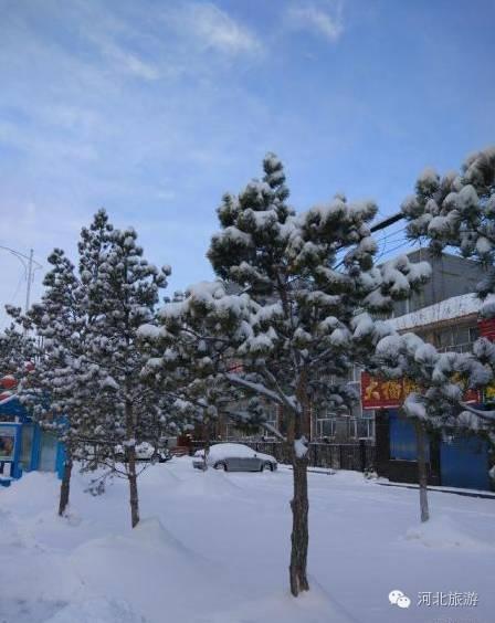 你那里下雪了吗？河北多地迎来今年入冬第一场雪