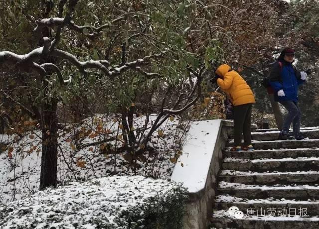 你那里下雪了吗？河北多地迎来今年入冬第一场雪