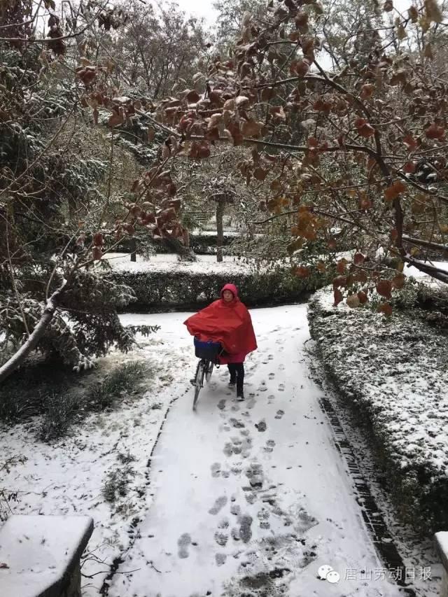 你那里下雪了吗？河北多地迎来今年入冬第一场雪