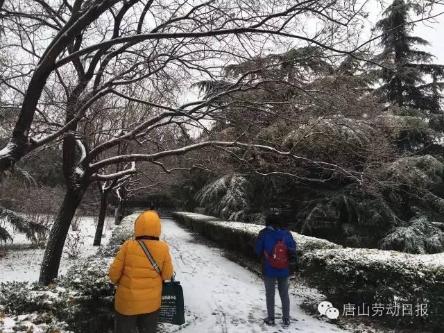 你那里下雪了吗？河北多地迎来今年入冬第一场雪