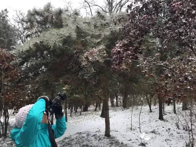 你那里下雪了吗？河北多地迎来今年入冬第一场雪