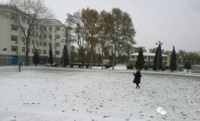 你那里下雪了吗？河北多地迎来今年入冬第一场雪