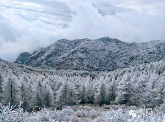 你那里下雪了吗？河北多地迎来今年入冬第一场雪