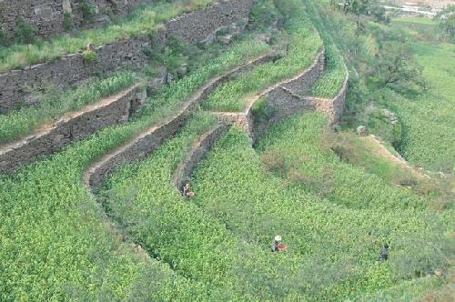 涉县梯田